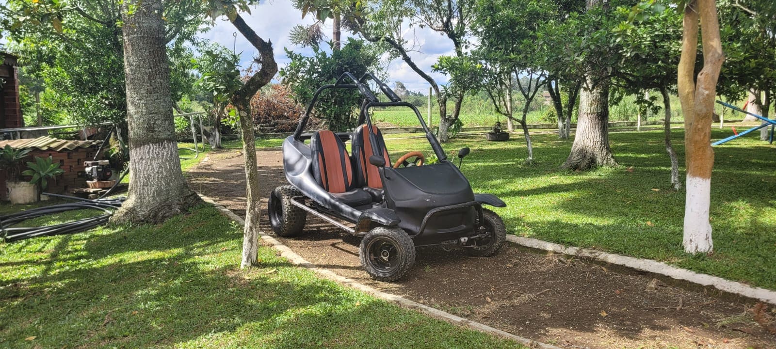 Mini Buggy da chácara