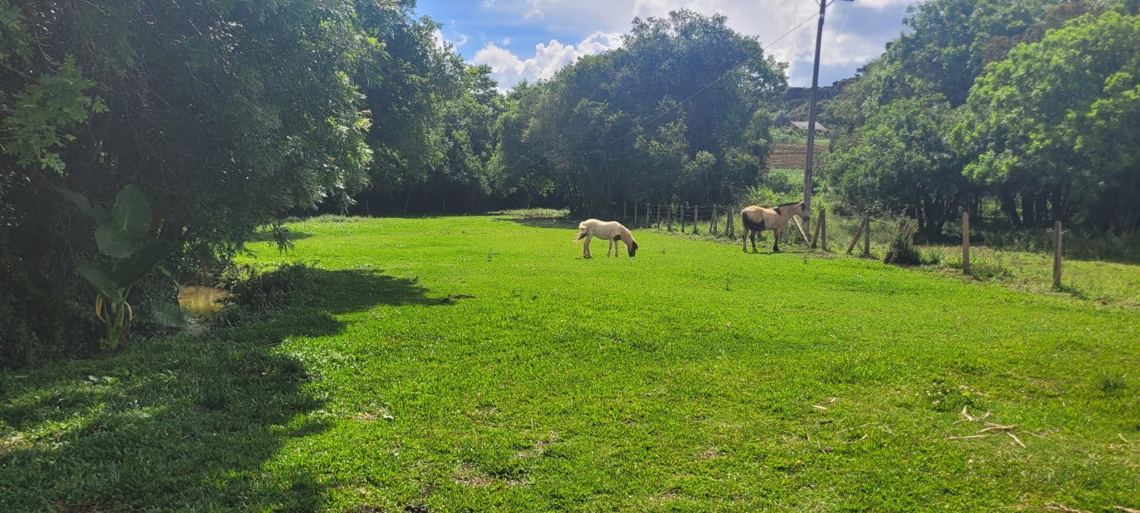 Foto do Pátio - 19