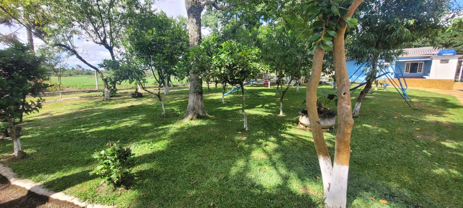 Foto do Pátio - 8